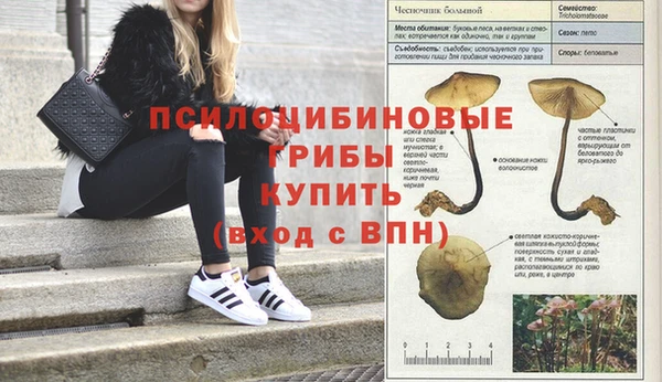амф Аркадак